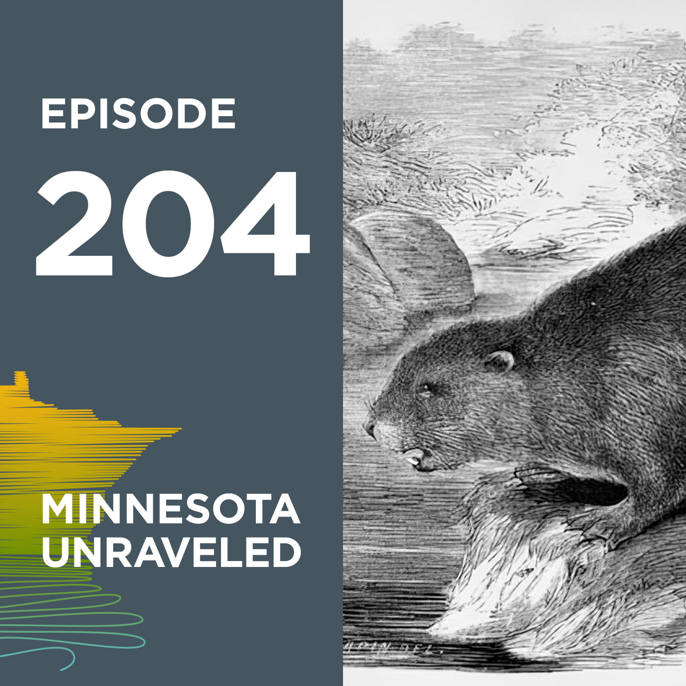 Beaver Tales: From Minnesota’s Ice Age to Today