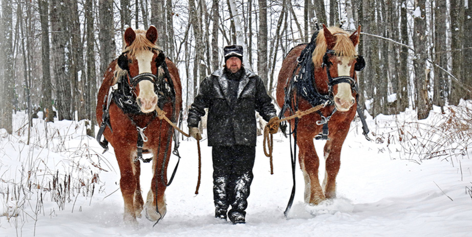 Winter Horse-Drawn Sleigh Rides at the Forest History Center