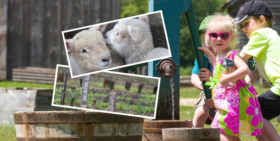 Collage image of outdoor, family-friendly farm activities.