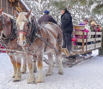 Sleigh ride at Forest History Center.