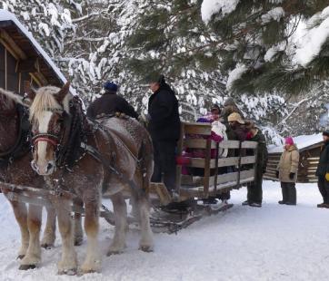Winter Horse-Drawn Rides at the Forest History Center