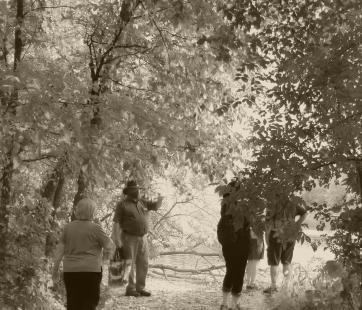Sepia-toned image of a group walking along a path in a wooded area