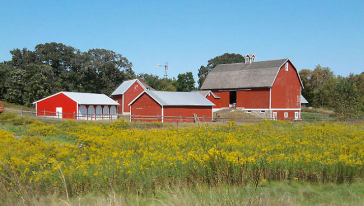 Springtime Farm Mill City Museum