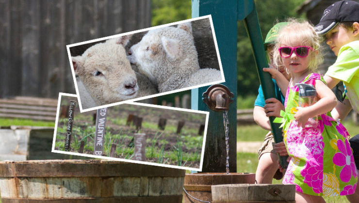 Collage image of outdoor, family-friendly farm activities.