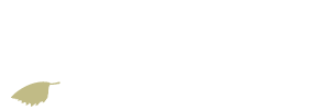 Split Rock Lighthouse logo